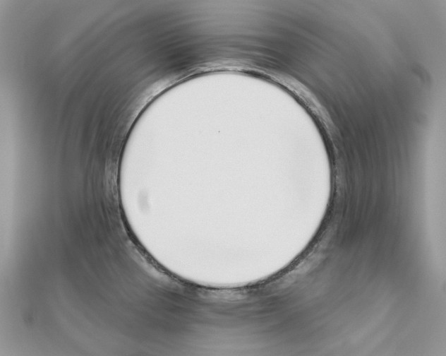 X0000110981337200907310942