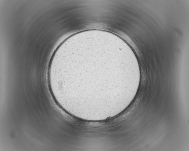 X0000110981339200907310942