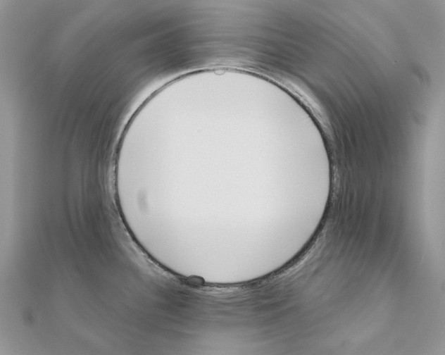 X0000110981340200907310942