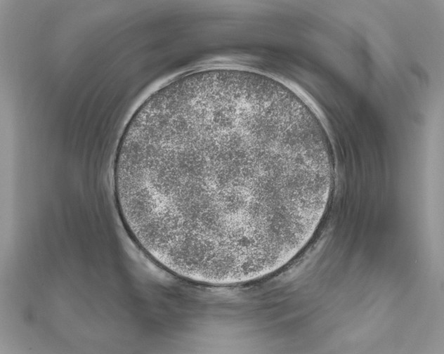 X0000110981341200907310942