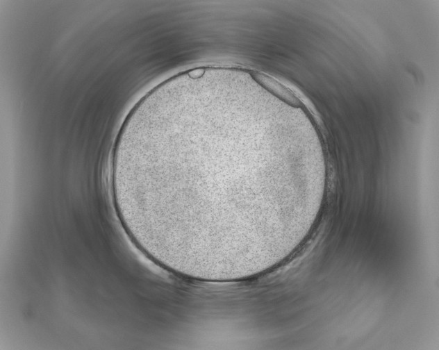 X0000110981343200907310942