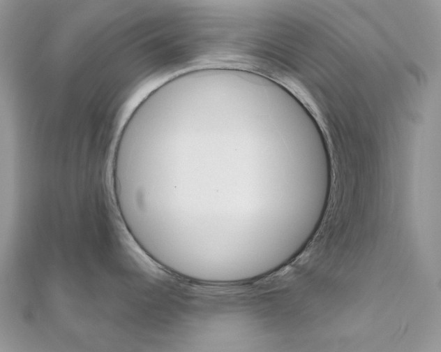 X0000110981344200907310942