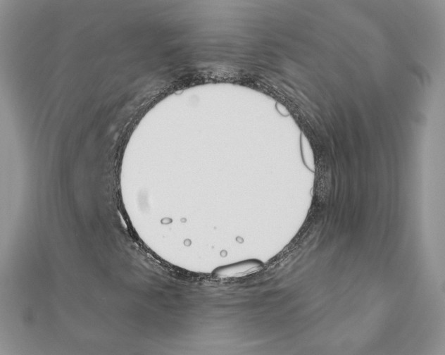 X0000110981345200907310941