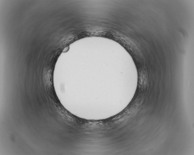 X0000110981346200907310941
