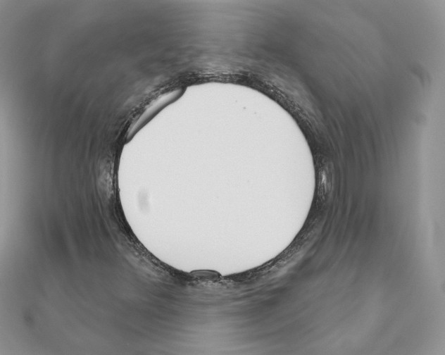 X0000110981348200907310941