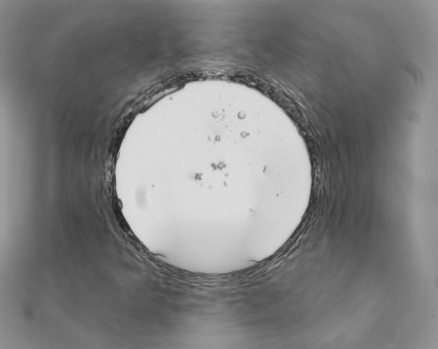 X0000110981349200907310941