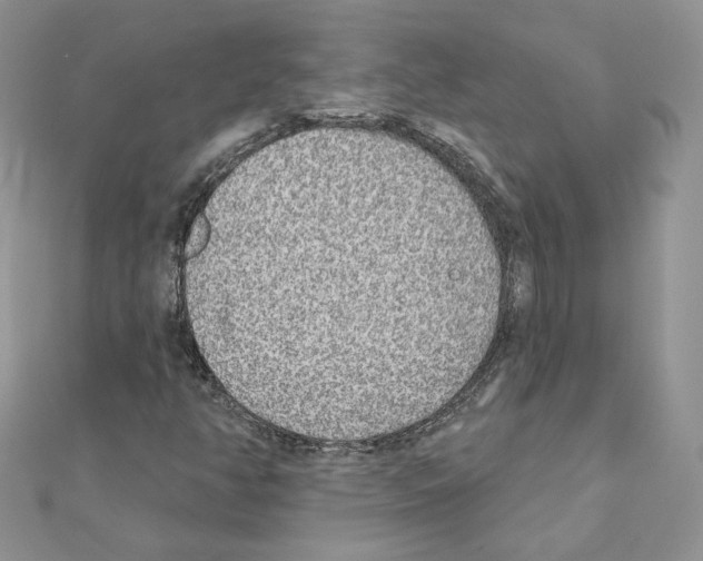 X0000110981350200907310941