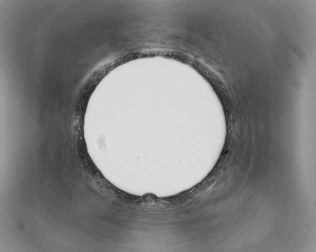X0000110981351200907310941