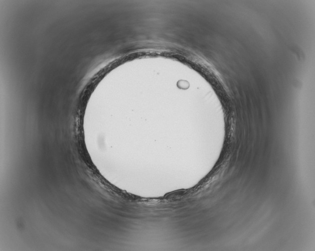 X0000110981352200907310941