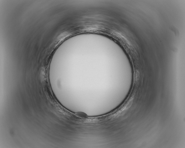 X0000110981353200907310941