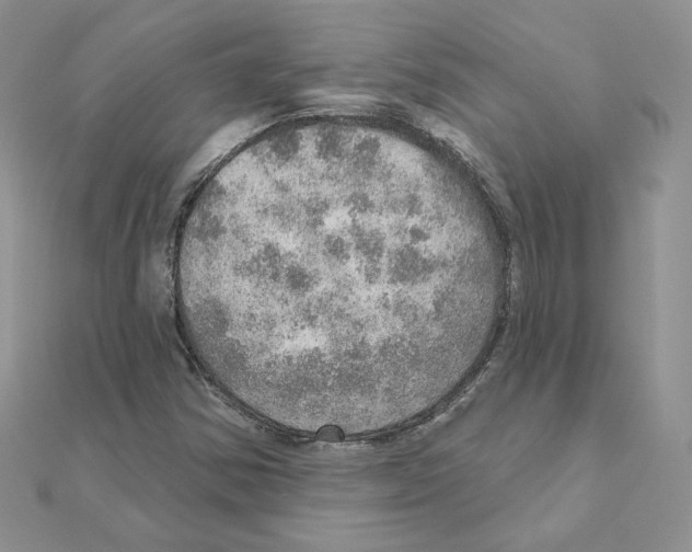 X0000110981354200907310941