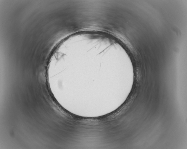 X0000110981356200907310941