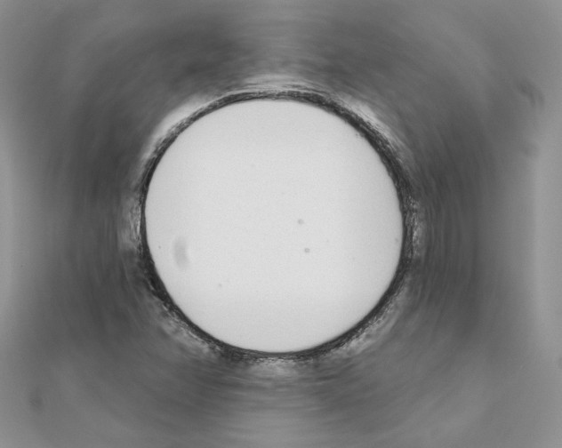 X0000110981358200907310941