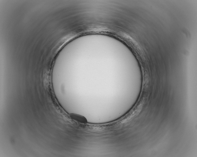 X0000110981361200907310941