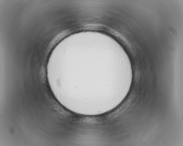 X0000110981362200907310941