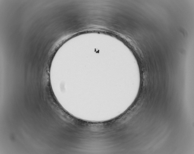X0000110981363200907310941