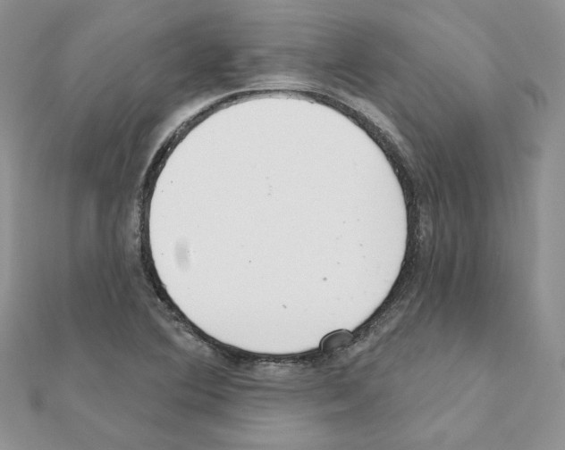 X0000110981364200907310941