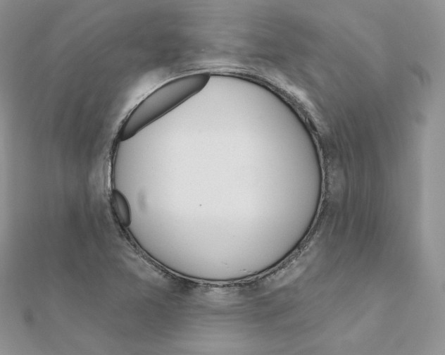 X0000110981365200907310941