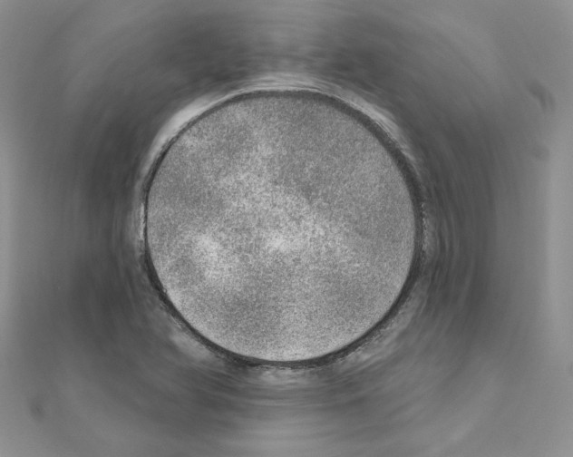 X0000110981366200907310941