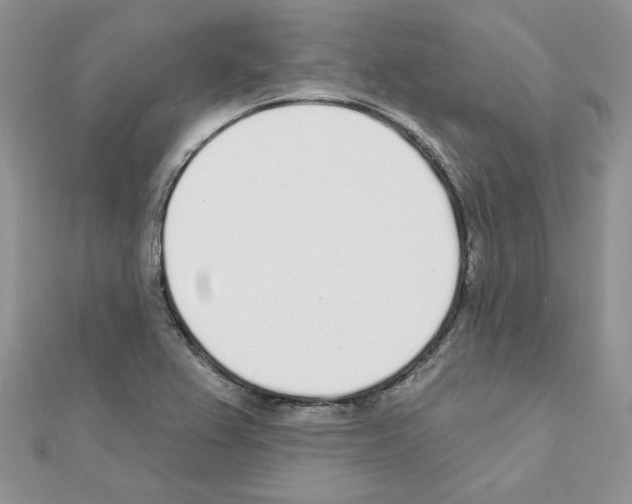 X0000110981367200907310941