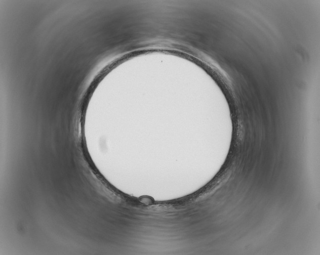 X0000110981368200907310941