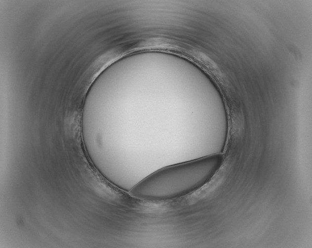 X0000110981369200907310941