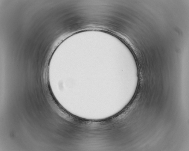 X0000110981371200907310941