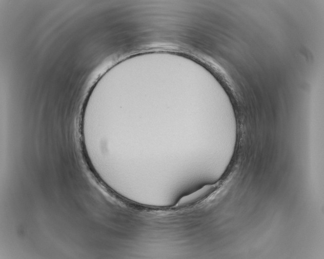 X0000110981373200907310941