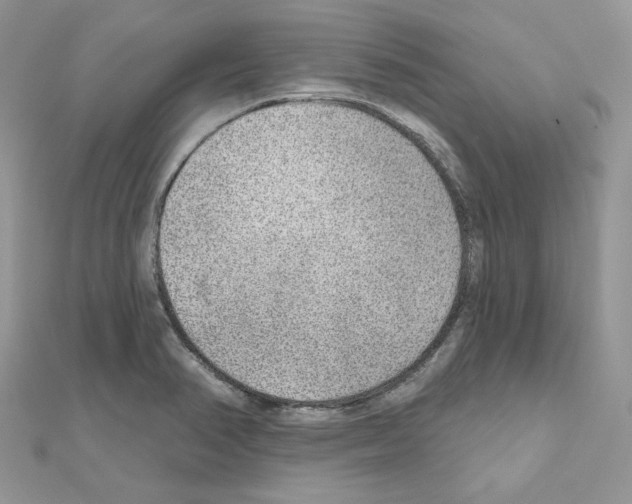 X0000110981374200907310941