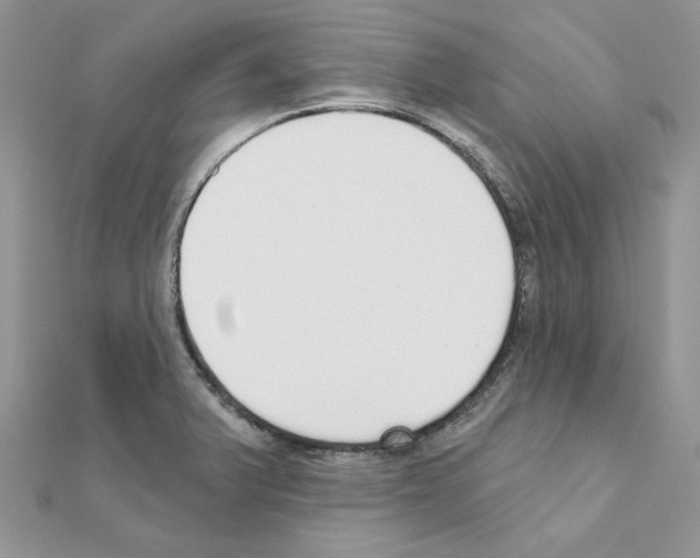 X0000110981375200907310941