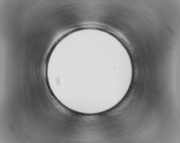 X0000110981376200907310941
