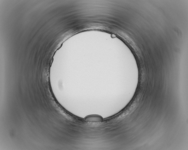 X0000110981377200907310941