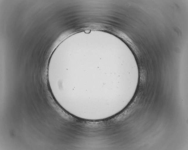X0000110981378200907310941