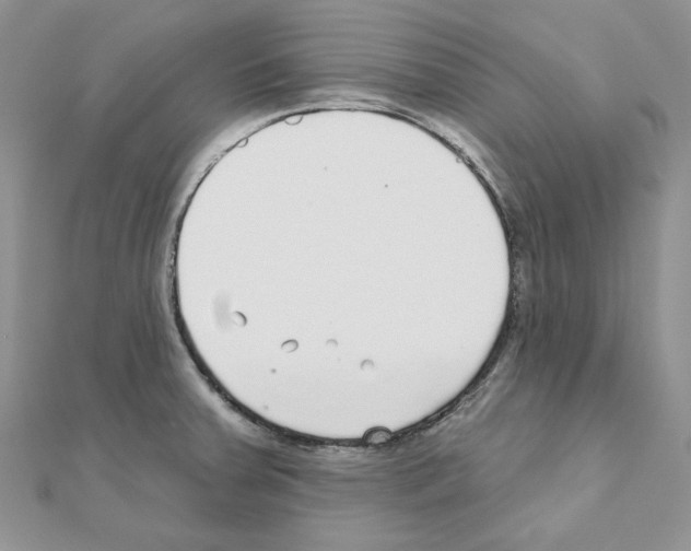 X0000110981379200907310941