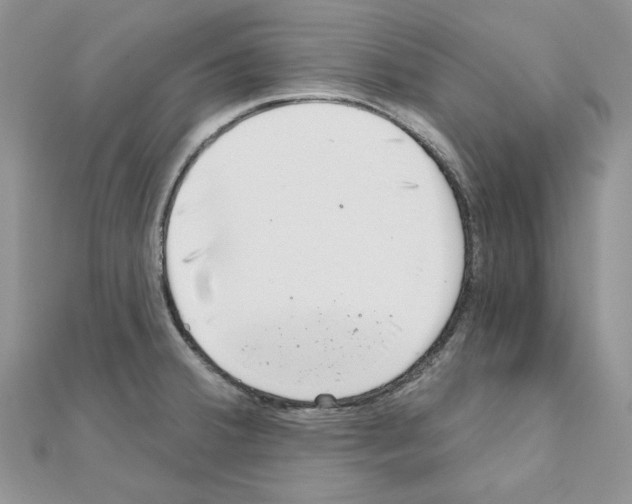 X0000110981380200907310941