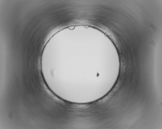 X0000110981382200907310941
