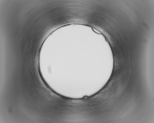 X0000110981383200907310941