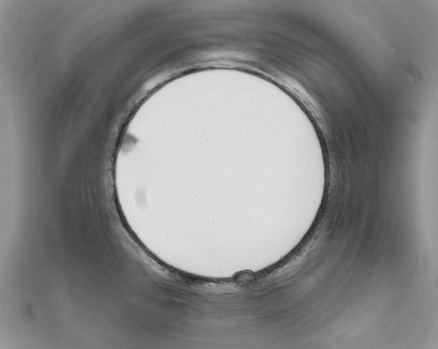 X0000110981384200907310941