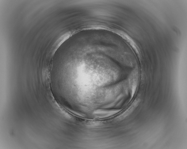 X0000110981385200907310941