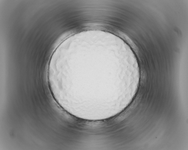 X0000110981386200907310941