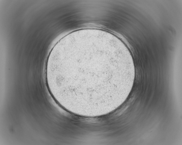 X0000110981387200907310941