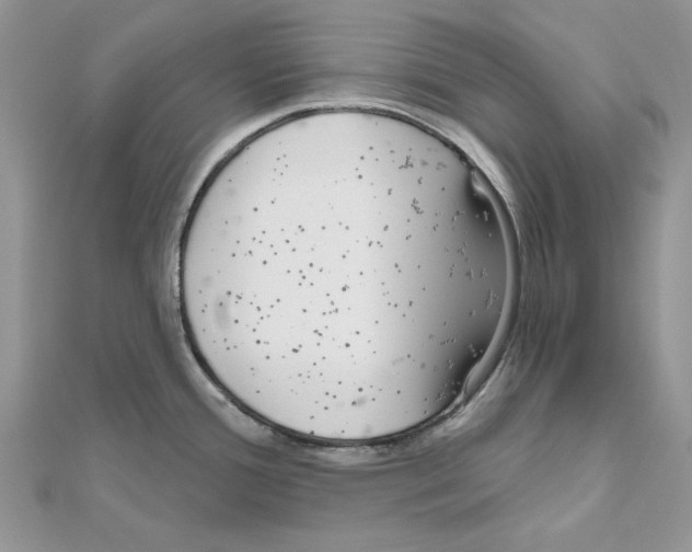 X0000110981388200907310941