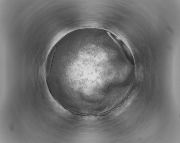 X0000110981389200907310941