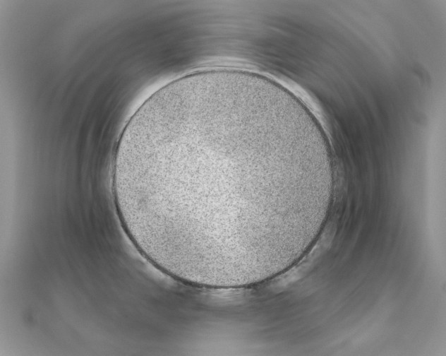 X0000110981390200907310941