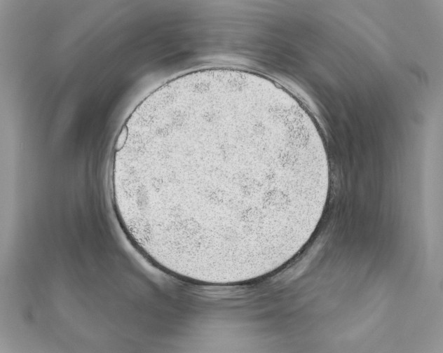 X0000110981391200907310941