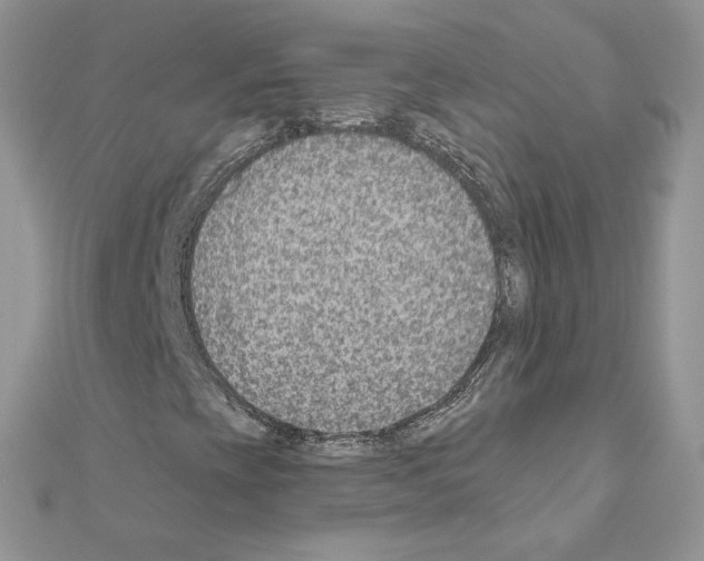 X0000110981393200907310940