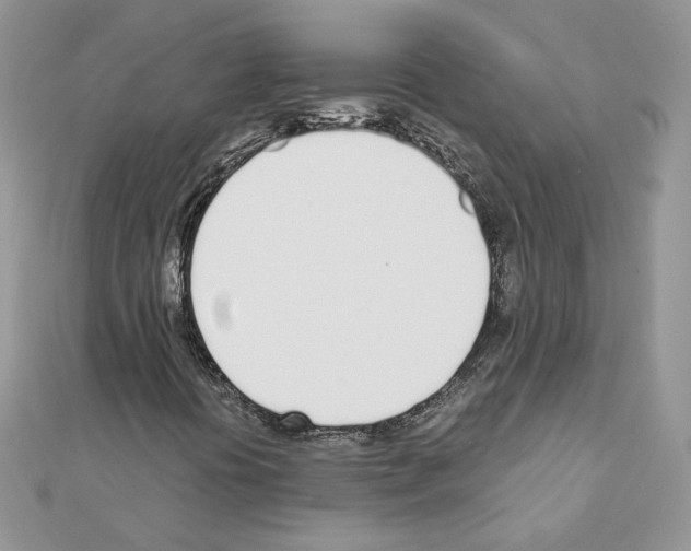X0000110981394200907310940