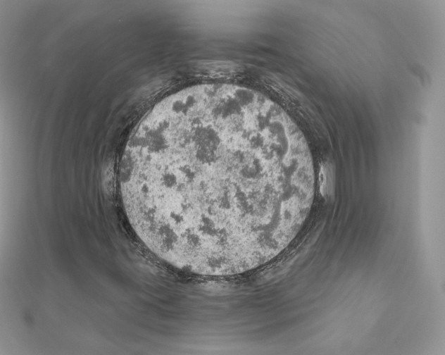 X0000110981395200907310940