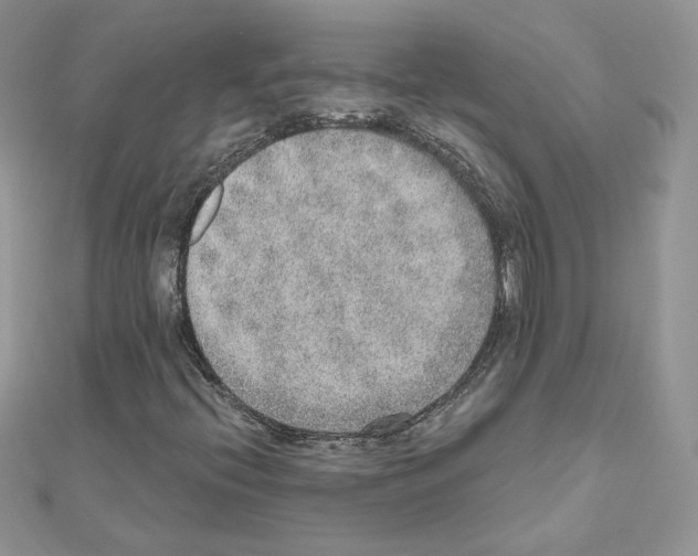 X0000110981396200907310940