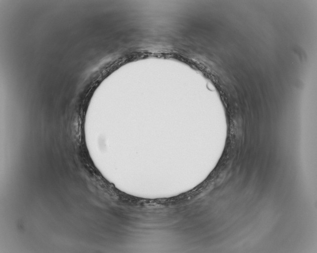 X0000110981398200907310940